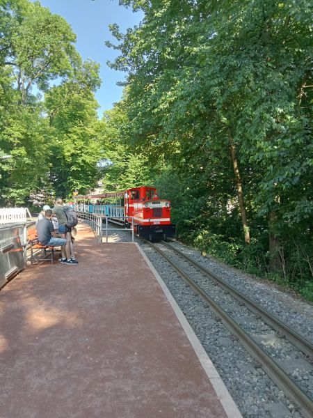 Parkeisenbahn Chemnitz / g_8_0_img20230624170519.jpg